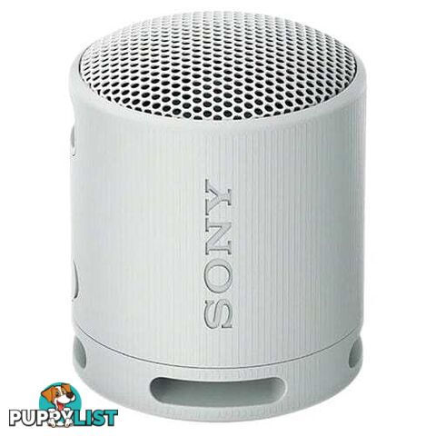 Sony SRS-XB100 Portable Wireless Speaker