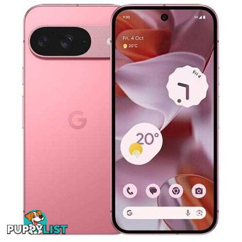 Google Pixel 9 (12GB RAM 256GB 5G)