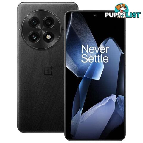 OnePlus 13 (PJZ110 China Specs Dual SIM 12GB RAM 512GB 5G)