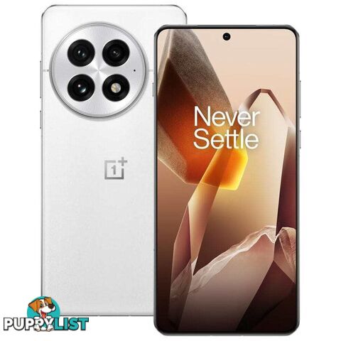 OnePlus 13 (PJZ110 China Specs Dual SIM 24GB RAM 1TB 5G)