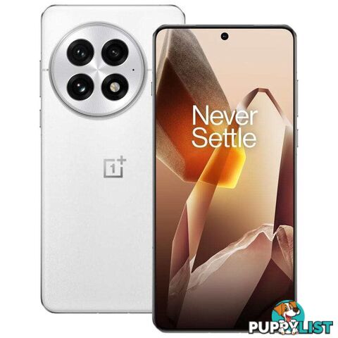 OnePlus 13 (PJZ110 China Specs Dual SIM 12GB RAM 512GB 5G)