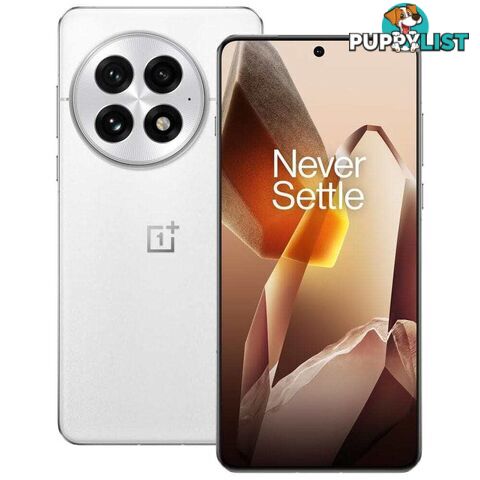 OnePlus 13 (PJZ110 China Specs Dual SIM 12GB RAM 256GB 5G)