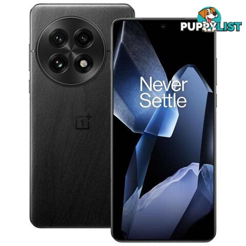 OnePlus 13 (CPH2653 Dual SIM 16GB RAM 512GB 5G)