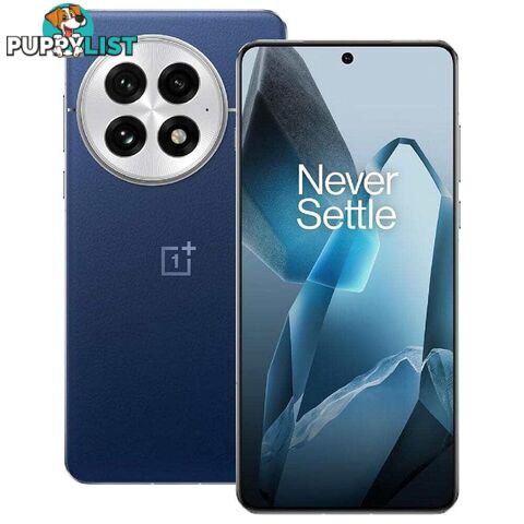 OnePlus 13 (PJZ110 China Specs Dual SIM 24GB RAM 1TB 5G)