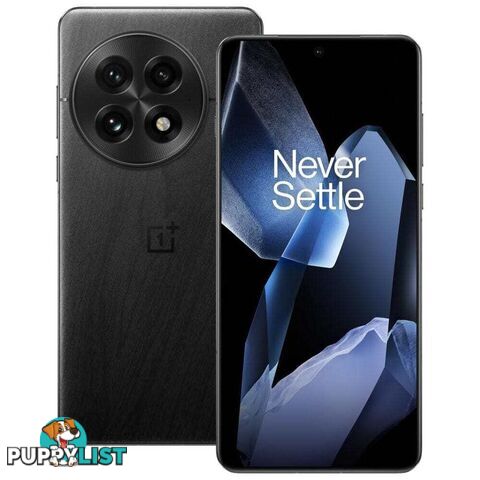 OnePlus 13 (PJZ110 China Specs Dual SIM 24GB RAM 1TB 5G)
