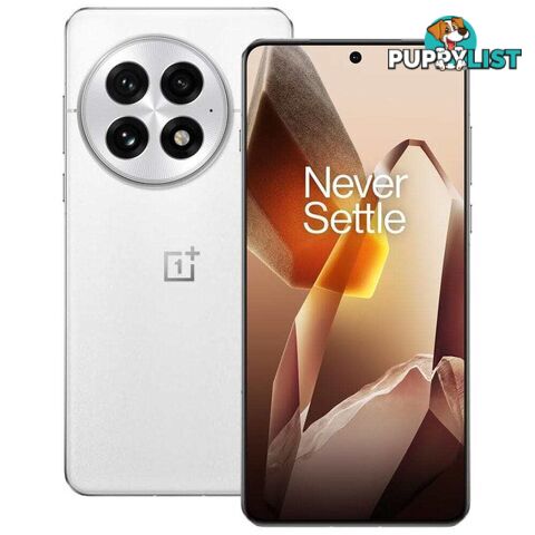 OnePlus 13 (PJZ110 China Specs Dual SIM 16GB RAM 512GB 5G)