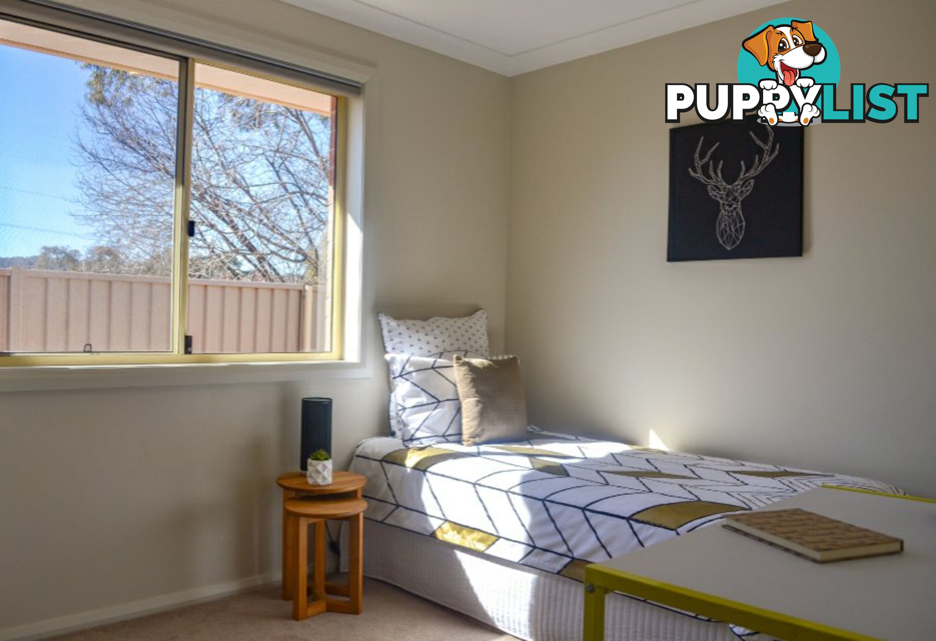 3/23 Ford Street QUEANBEYAN NSW 2620