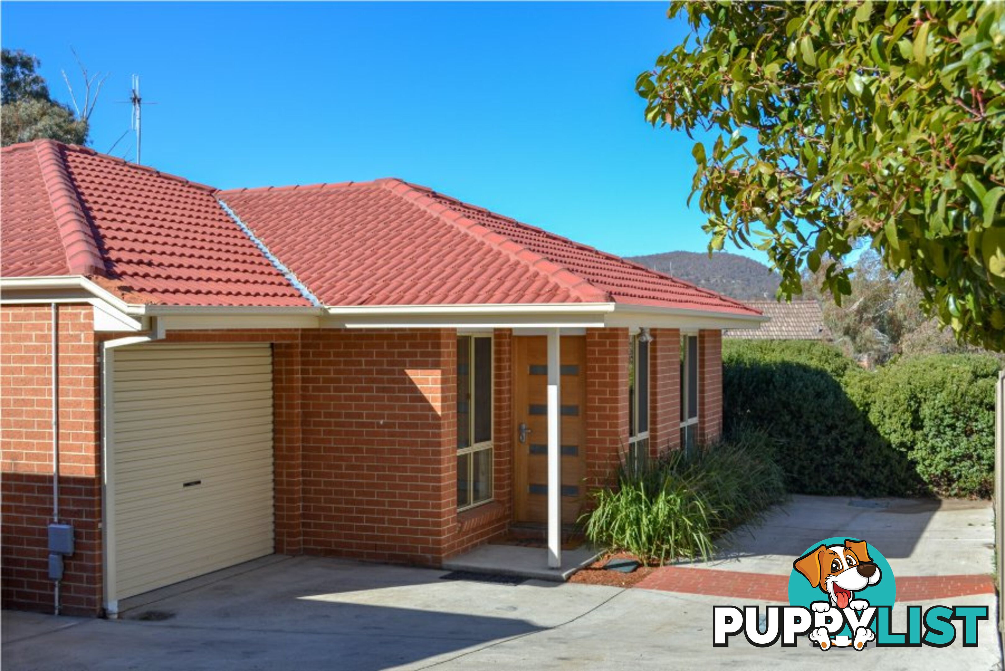 3/23 Ford Street QUEANBEYAN NSW 2620