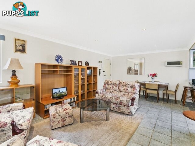 3/47 Atkinson Street QUEANBEYAN NSW 2620