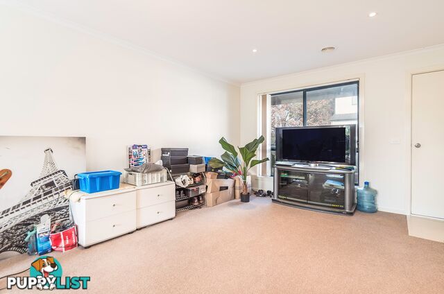 11/41 Carinya Street QUEANBEYAN NSW 2620