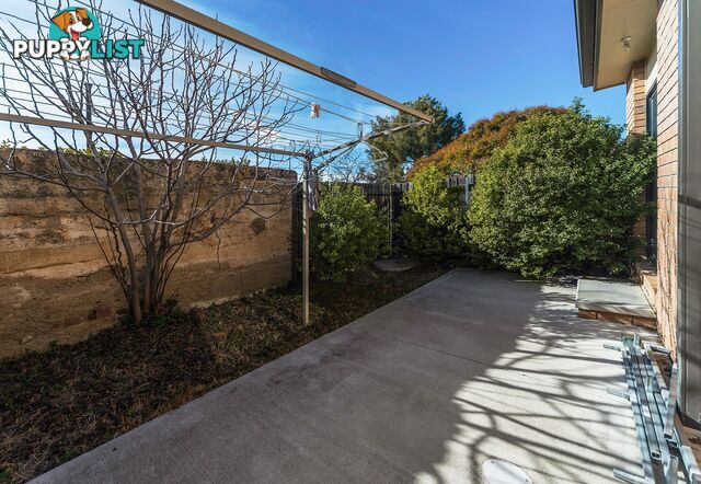 11/41 Carinya Street QUEANBEYAN NSW 2620