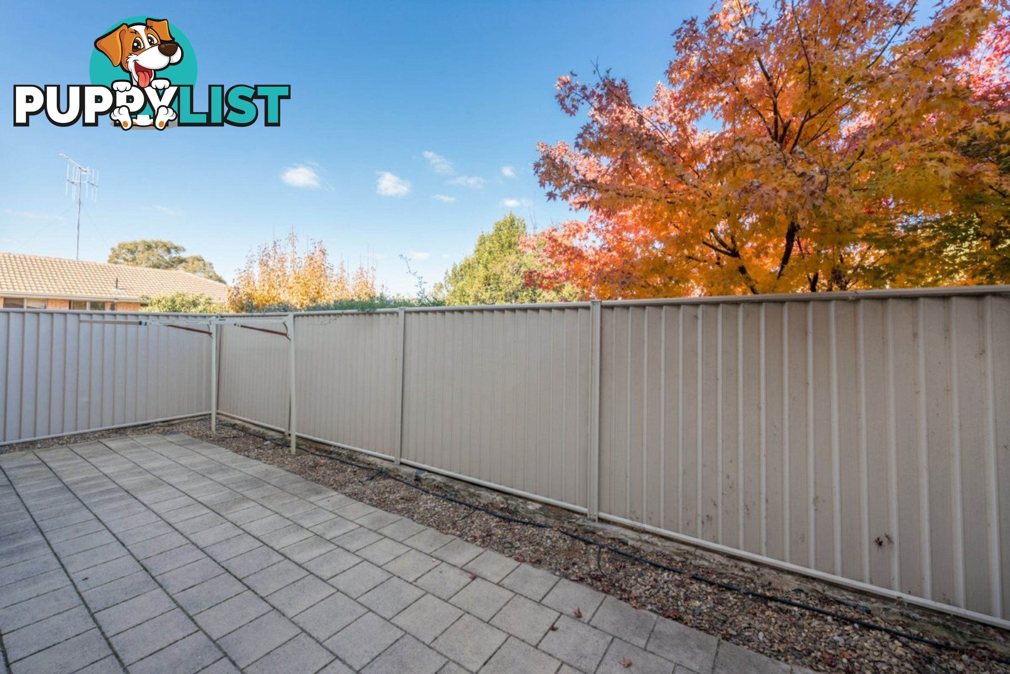 3/30 Ross Road QUEANBEYAN NSW 2620