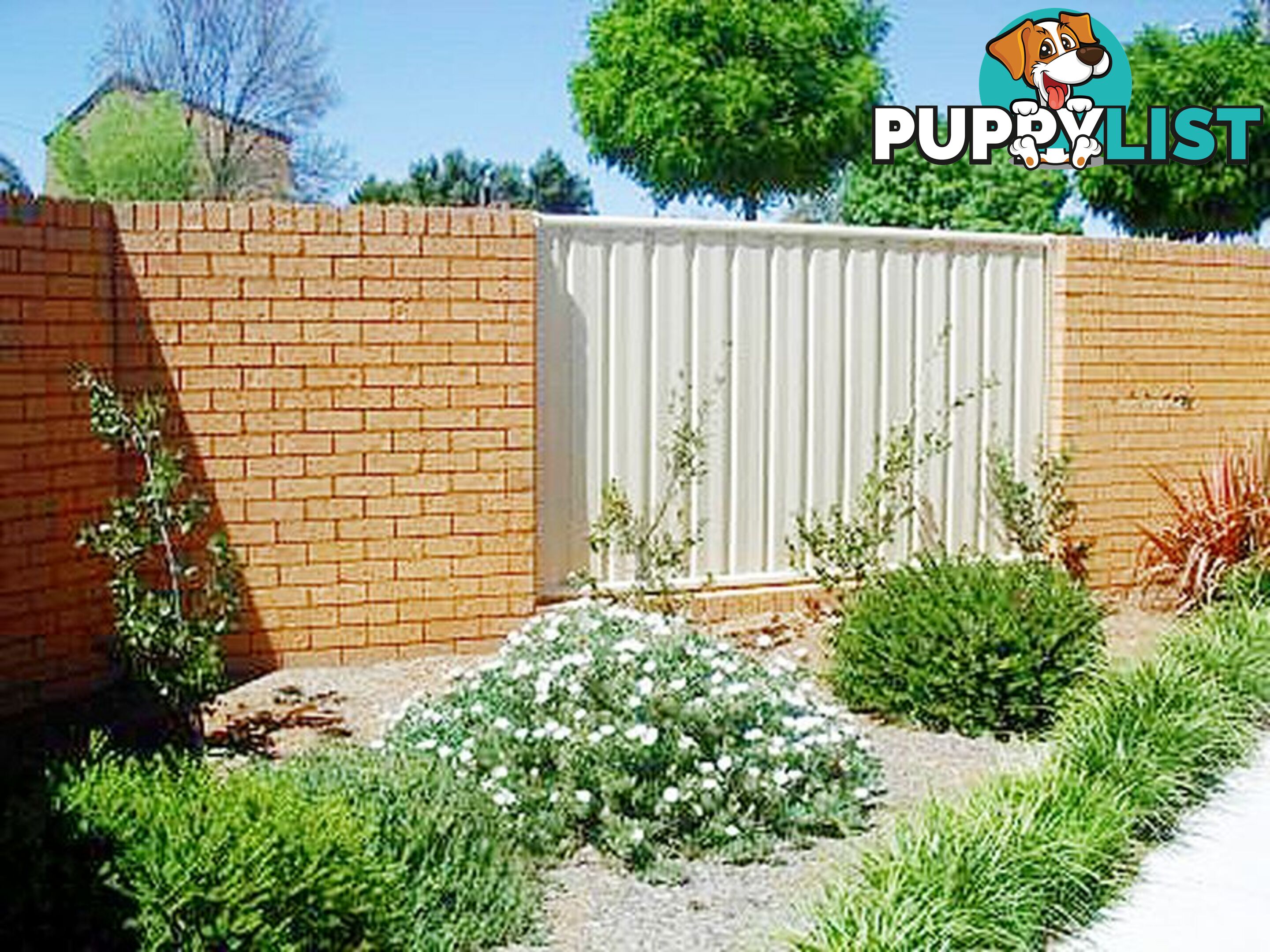 1/24 Mowatt Street QUEANBEYAN NSW 2620