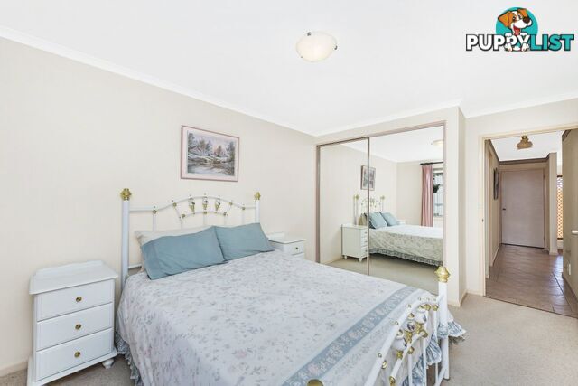 11/11 Barracks Flat Drive QUEANBEYAN NSW 2620