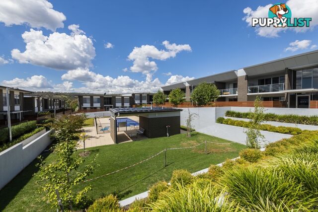 Level 1/29/47 Mowatt Street Street QUEANBEYAN EAST NSW 2620