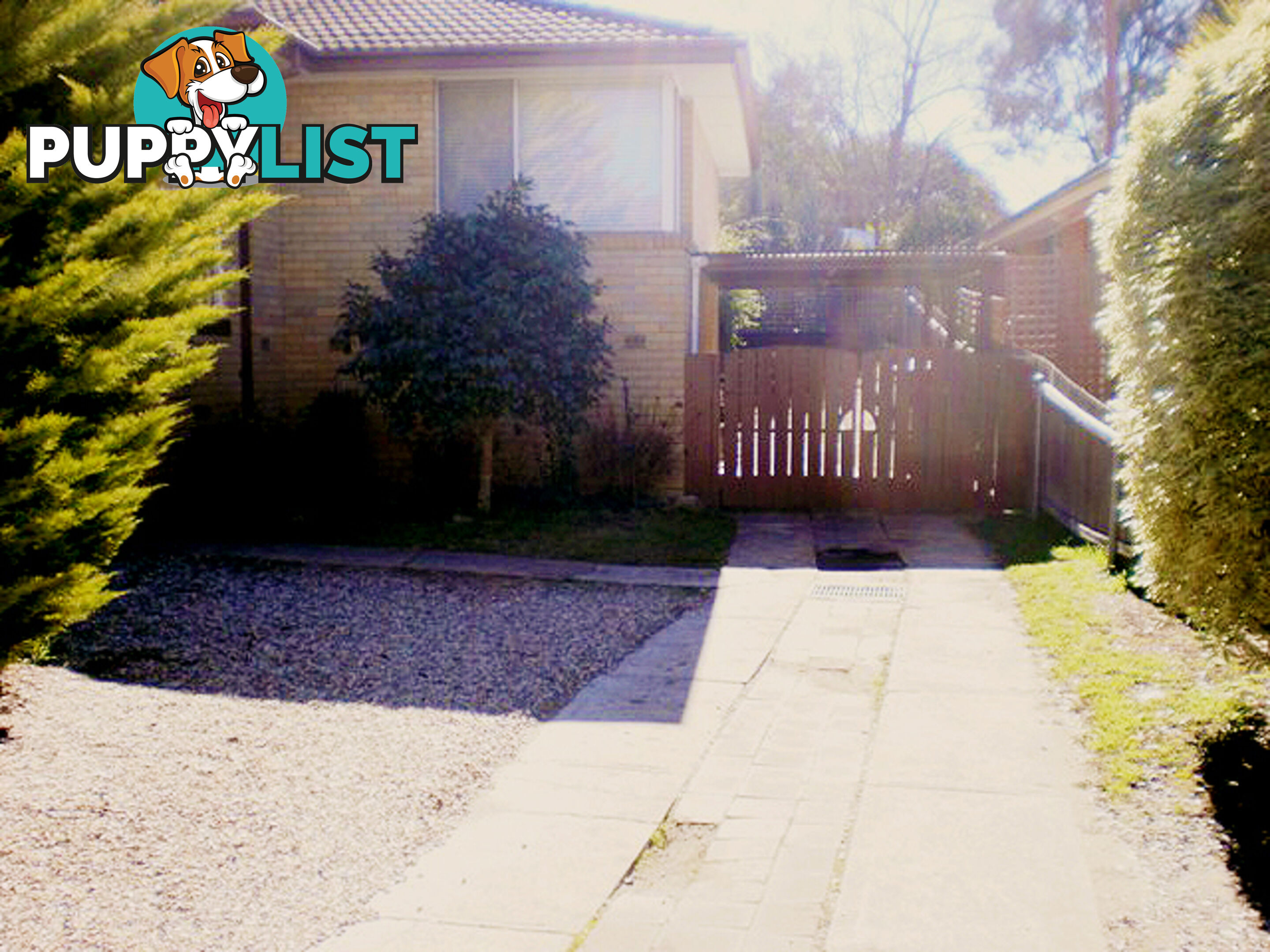 39 Early Street QUEANBEYAN EAST NSW 2620