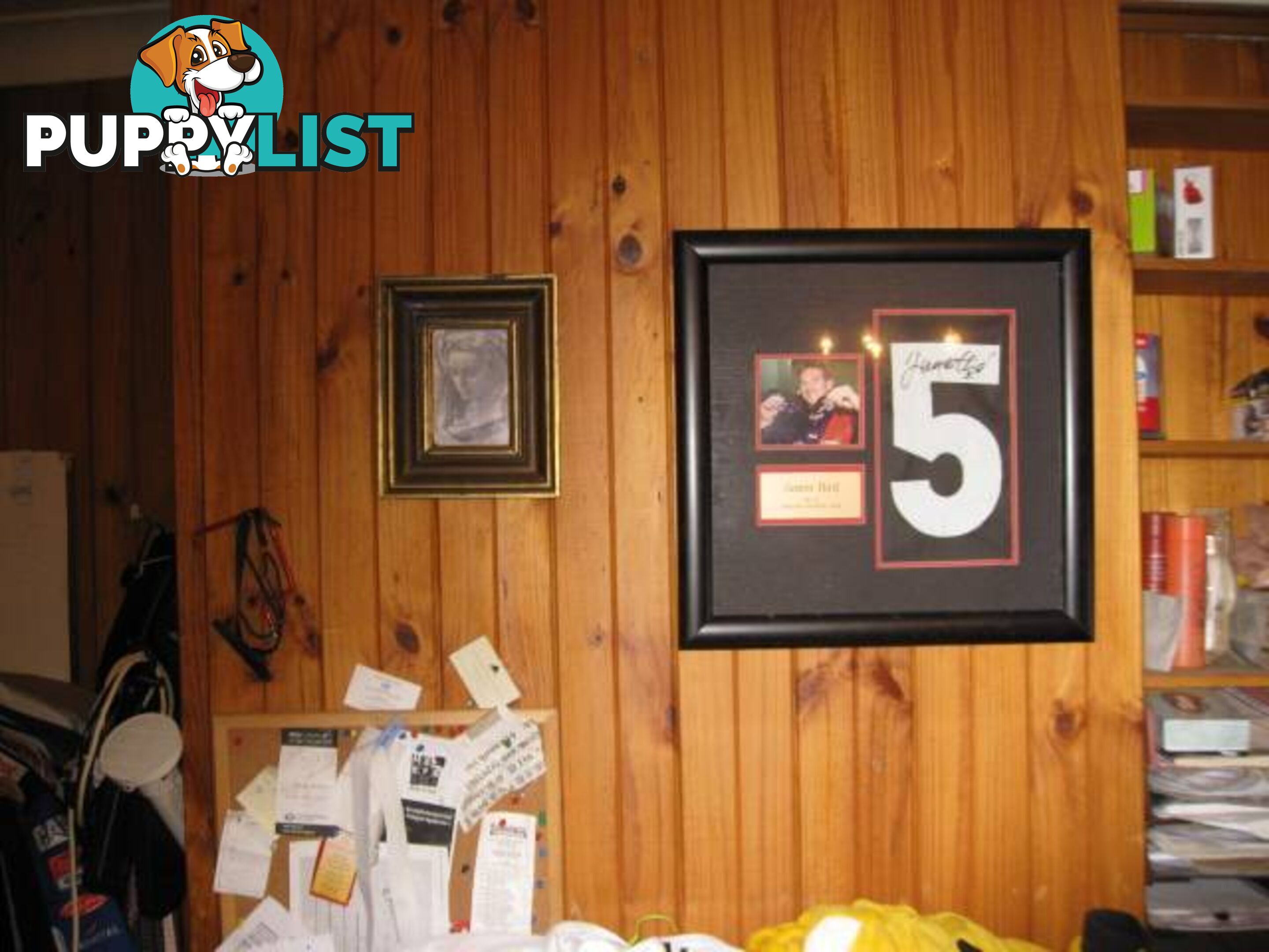 ESSENDON FOOTBAKK CLUB JAMES HIRD SIGNED NO 5