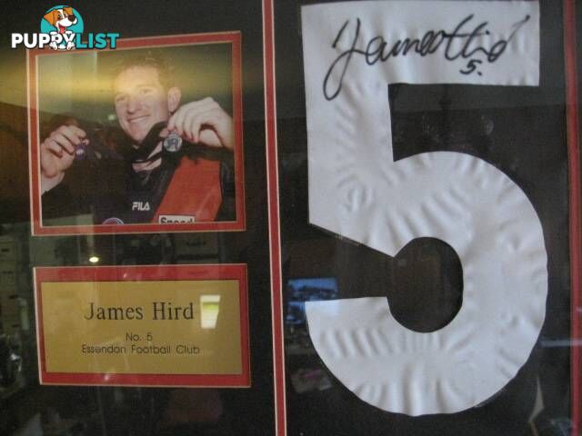 ESSENDON FOOTBAKK CLUB JAMES HIRD SIGNED NO 5