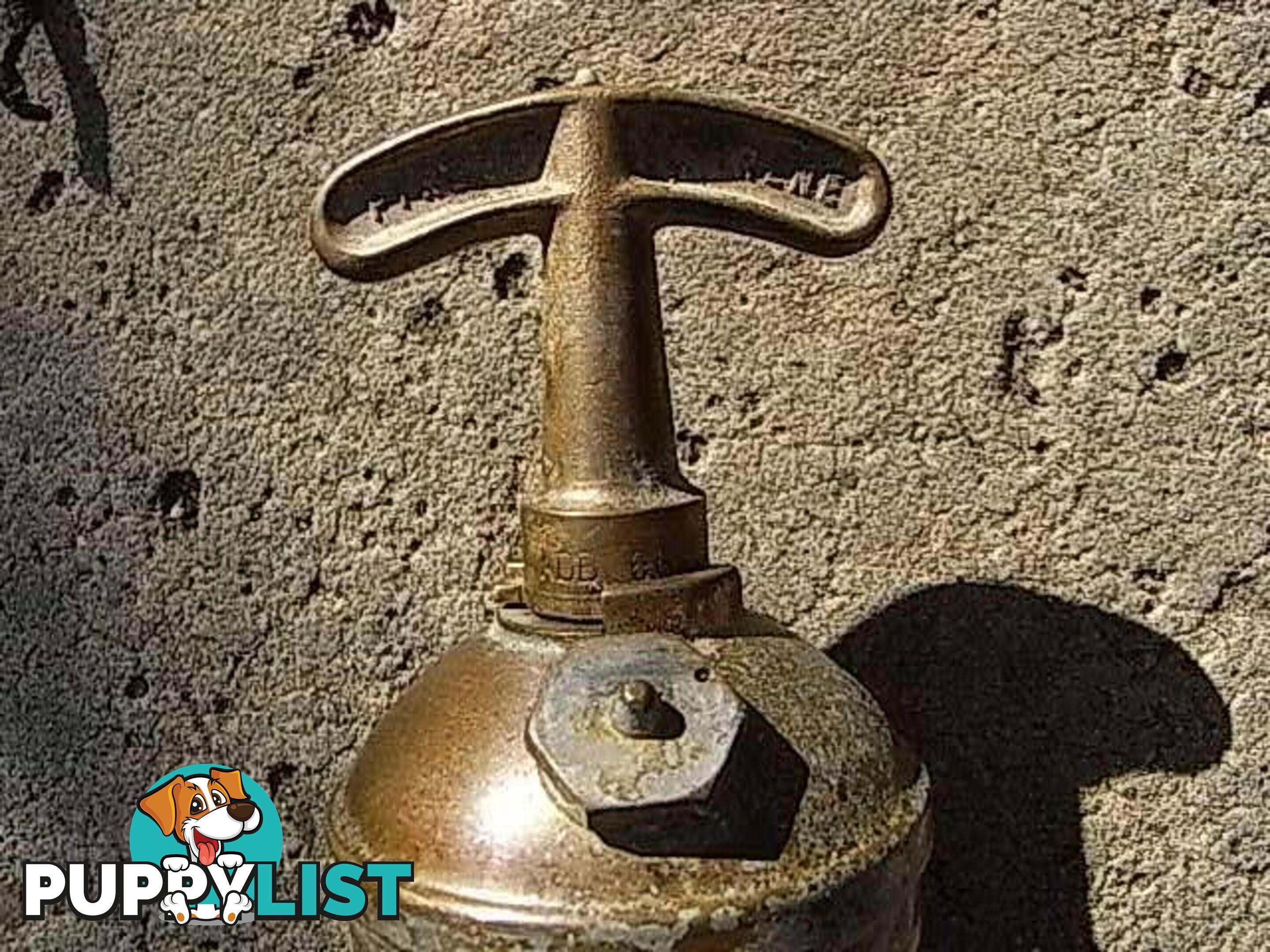 VINTAGE BRASS PYRENE FIRE EXTINGUISHER PYRENE MADE IN ENGLAND