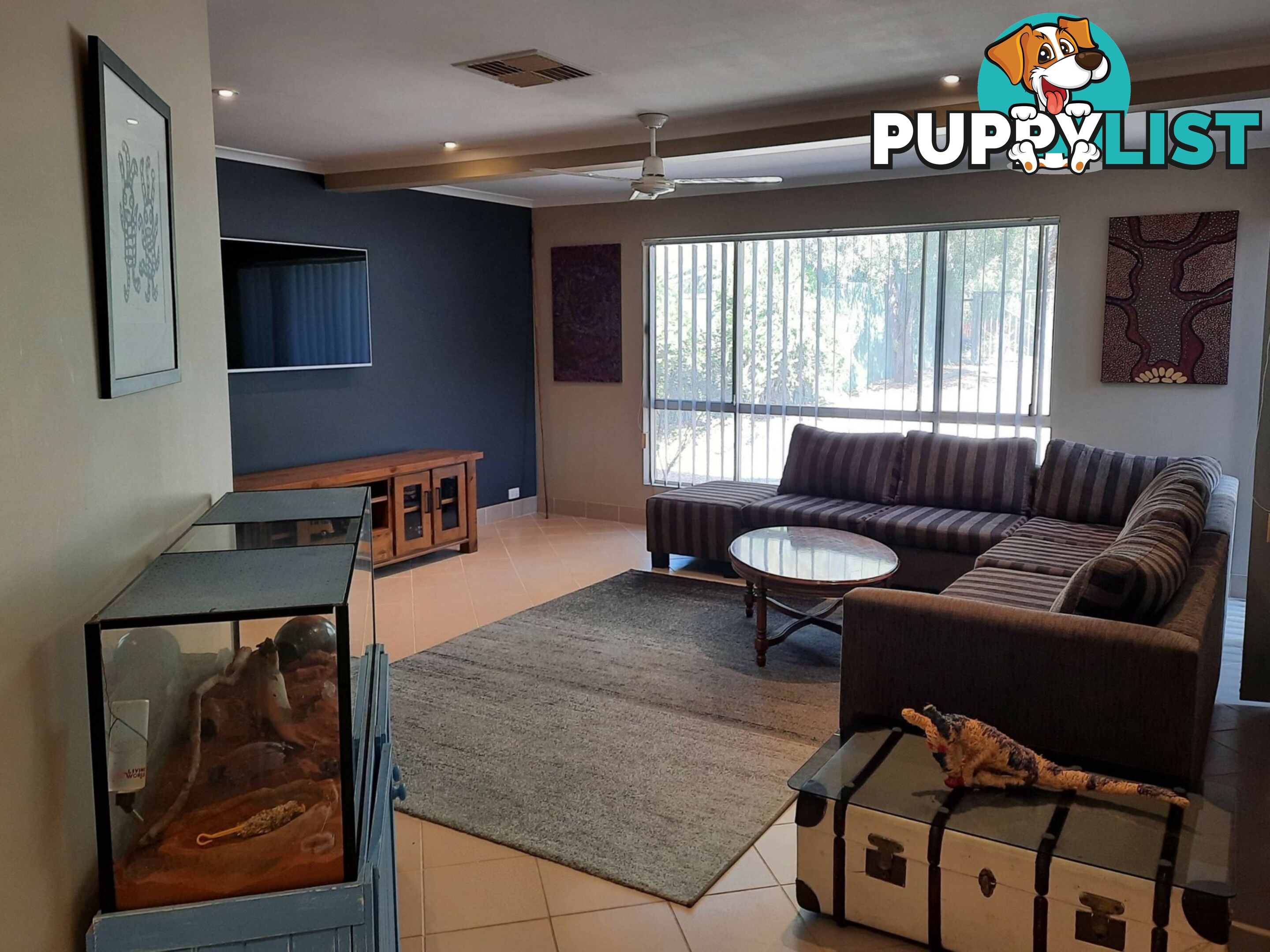 11 Mirus Court LARAPINTA NT 0875