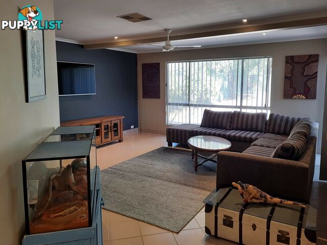 11 Mirus Court LARAPINTA NT 0875