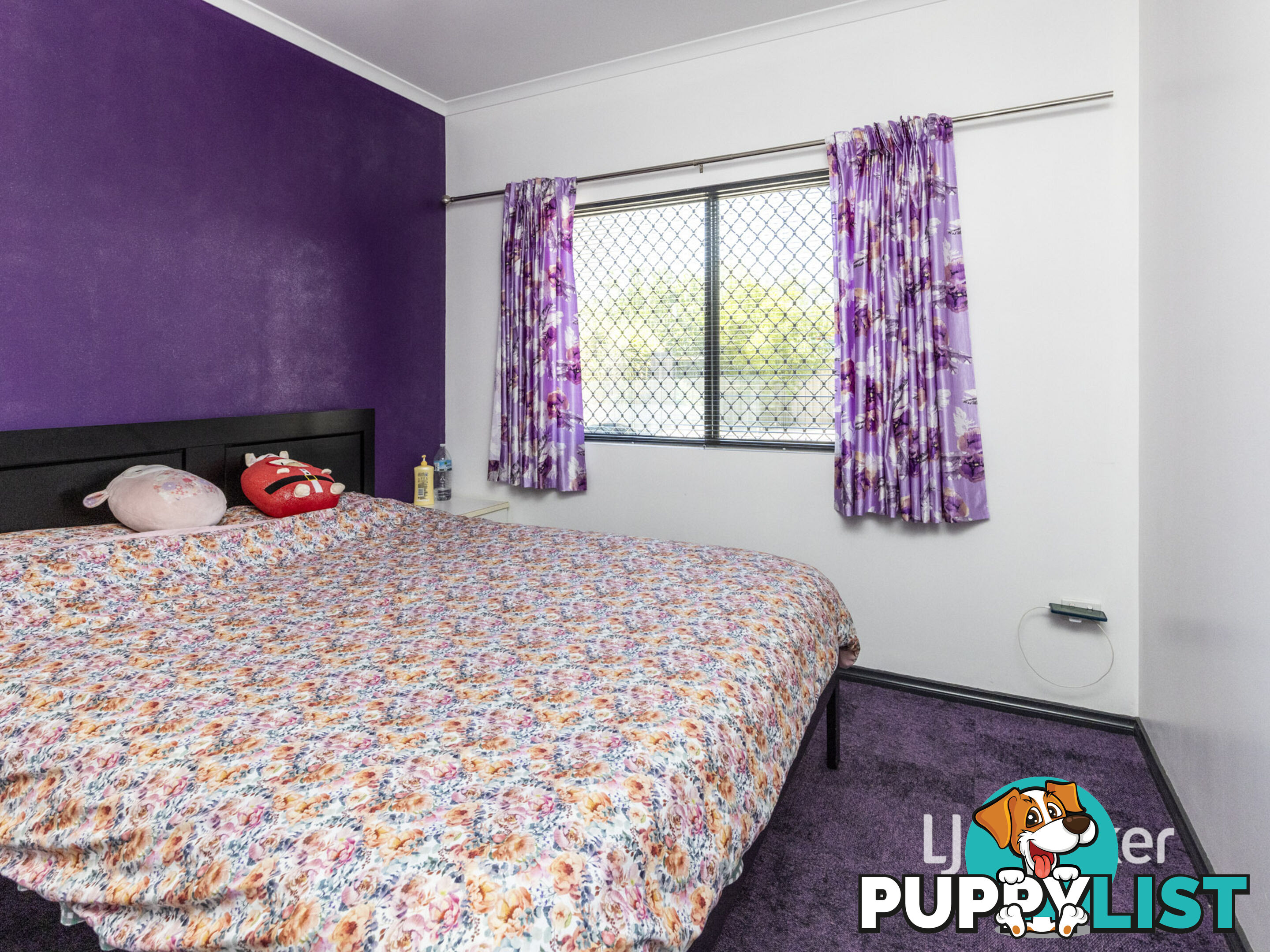 86 Albrecht Drive LARAPINTA NT 0875