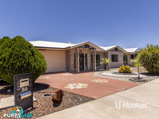 86 Albrecht Drive LARAPINTA NT 0875