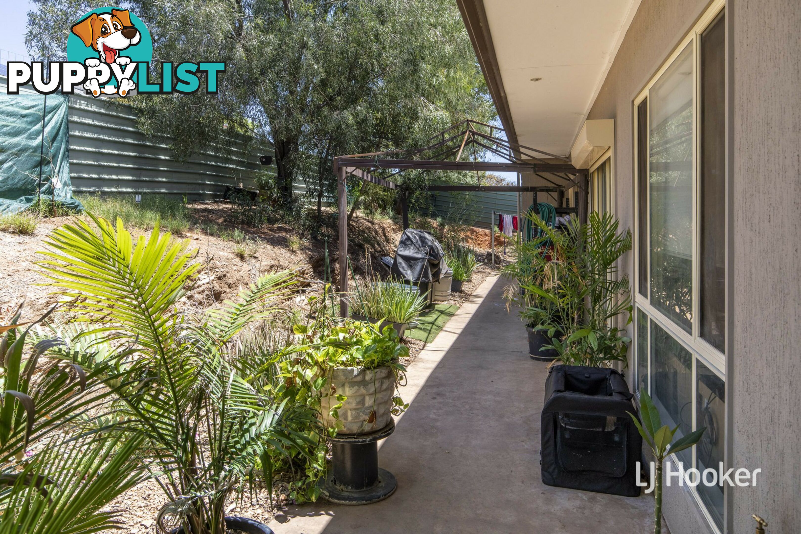 6 Zeil Street ARALUEN NT 0870