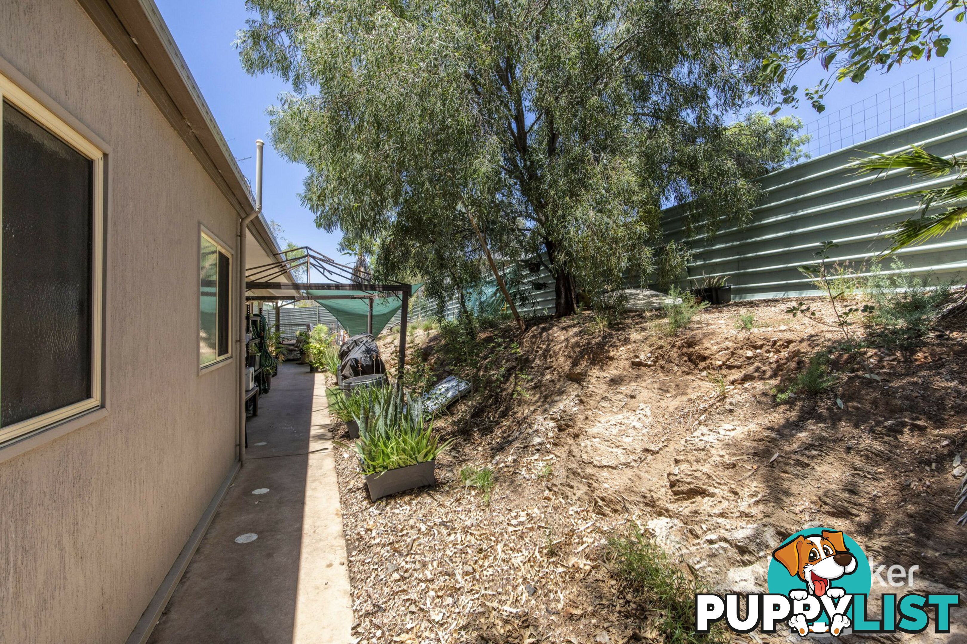 6 Zeil Street ARALUEN NT 0870