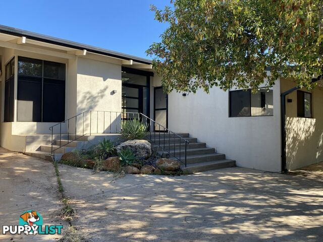 73 Lackman Terrace BRAITLING NT 0870