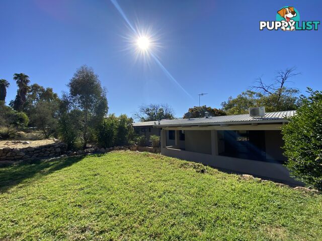 73 Lackman Terrace BRAITLING NT 0870