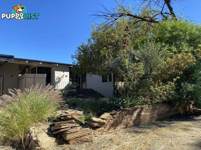 73 Lackman Terrace BRAITLING NT 0870