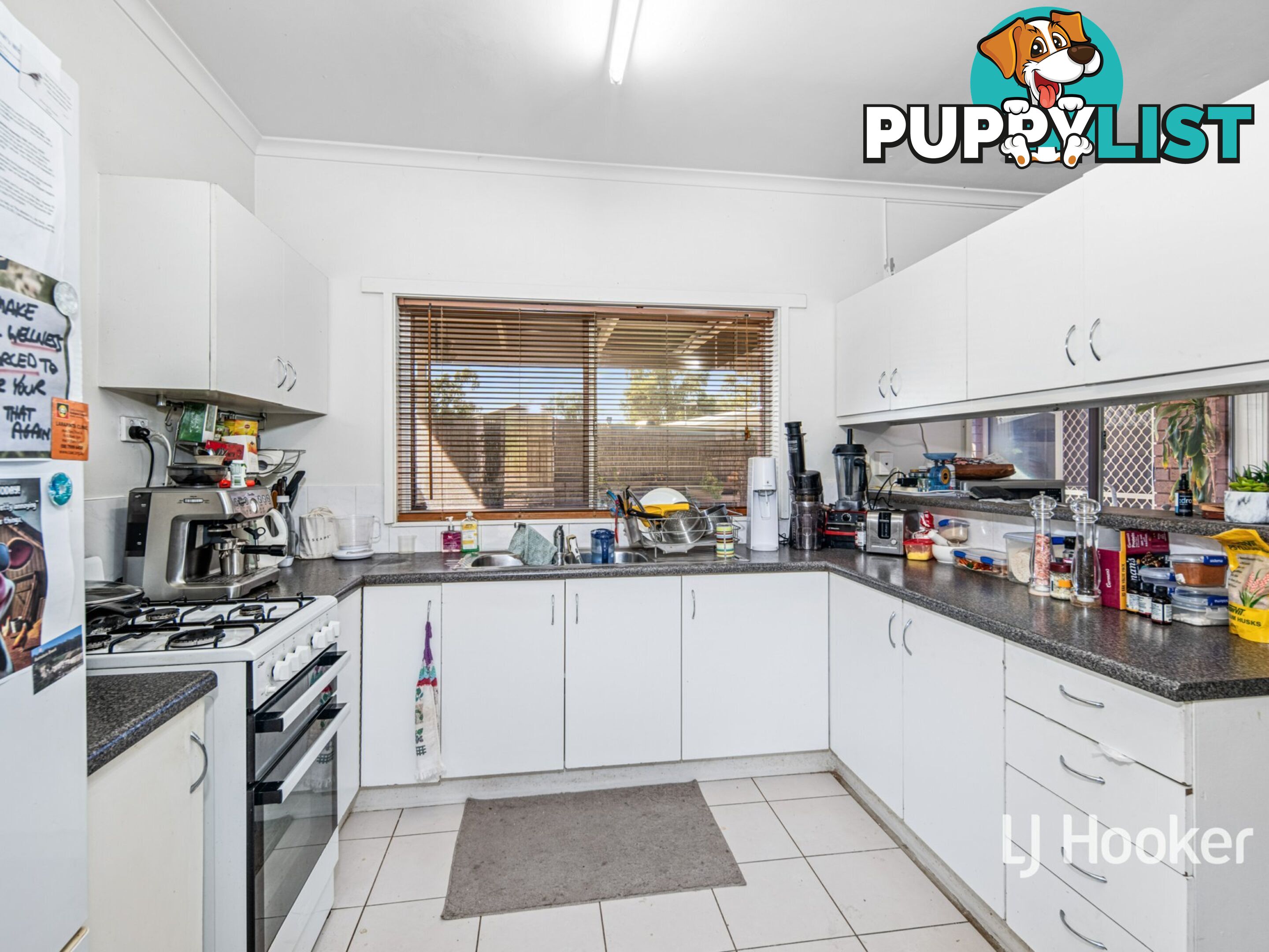 10 Lander Court LARAPINTA NT 0870
