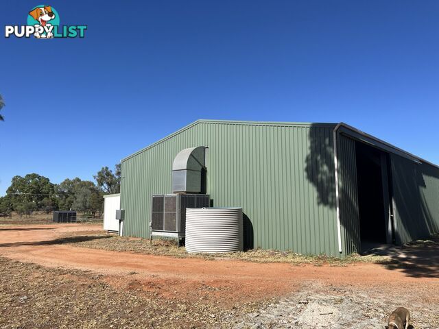 Lot 6811/69 Bullen Road WHITE GUMS NT 0870