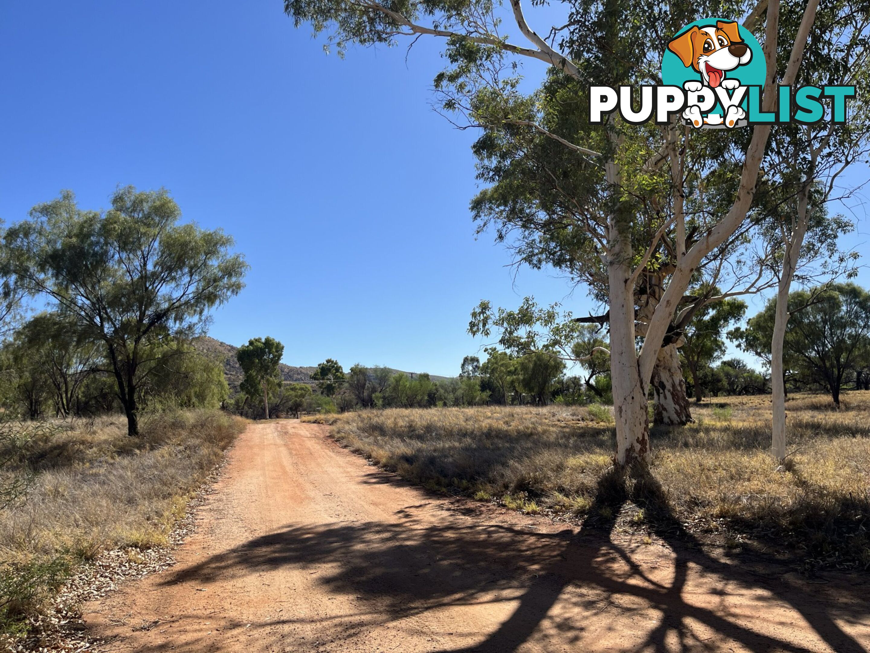 Lot 6811/69 Bullen Road WHITE GUMS NT 0870