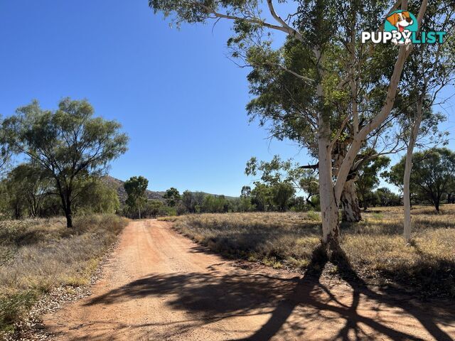 Lot 6811/69 Bullen Road WHITE GUMS NT 0870