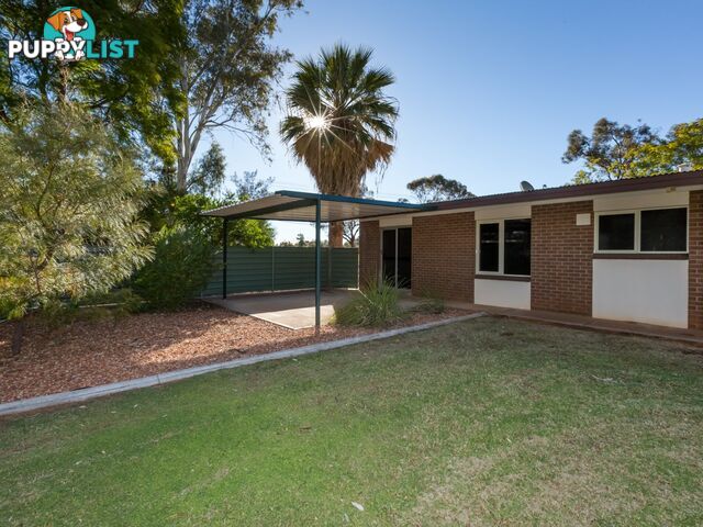 7 Palmer Street GILLEN NT 0870