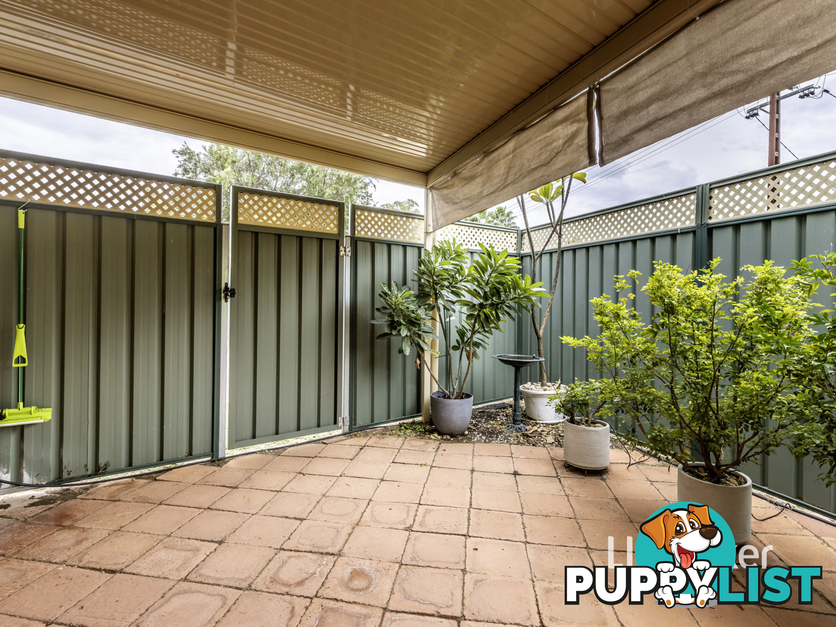 3/16 Bradshaw Drive GILLEN NT 0870