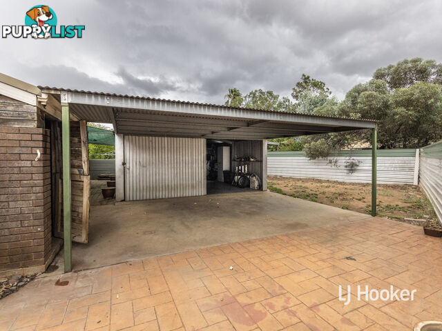 12 Holtermann Court LARAPINTA NT 0875