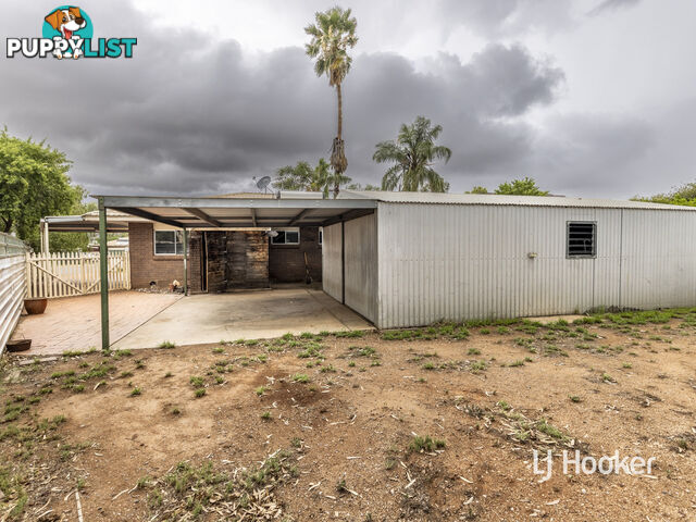 12 Holtermann Court LARAPINTA NT 0875