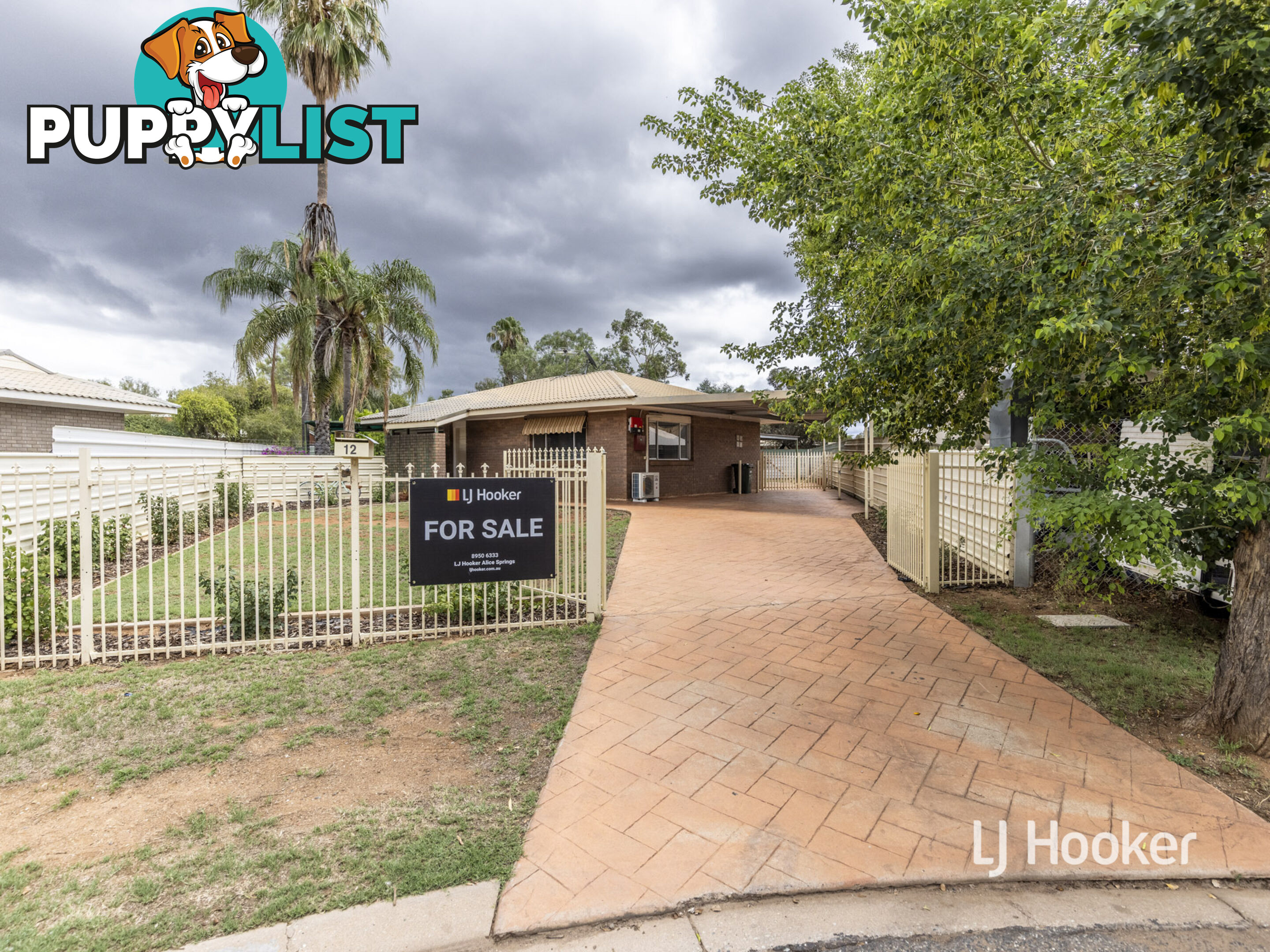 12 Holtermann Court LARAPINTA NT 0875