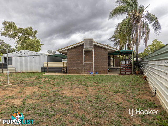 12 Holtermann Court LARAPINTA NT 0875