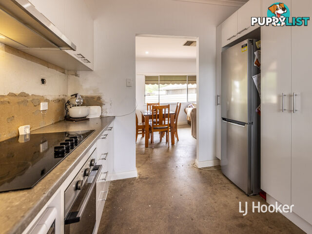 12 Holtermann Court LARAPINTA NT 0875