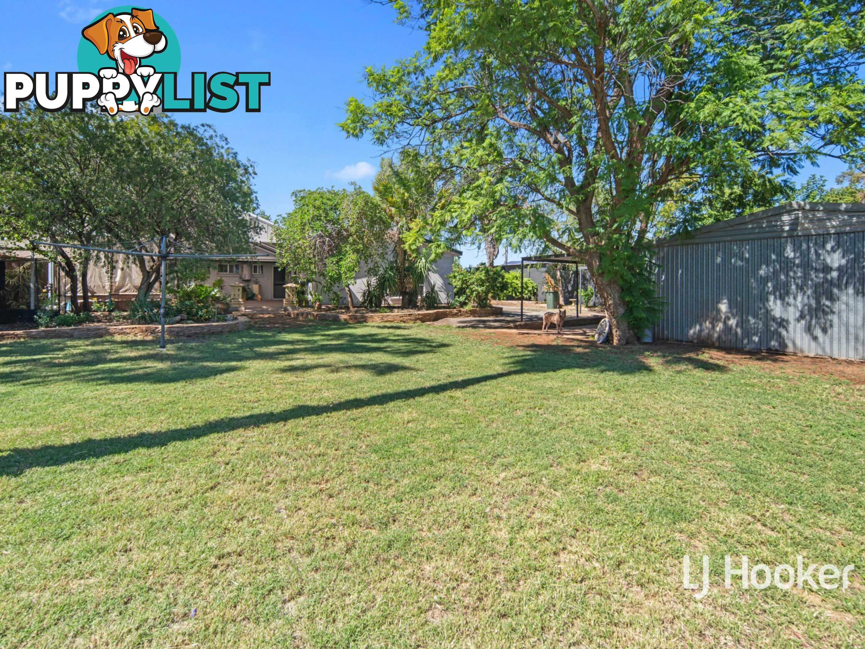 172 Kurrajong Drive EAST SIDE NT 0870