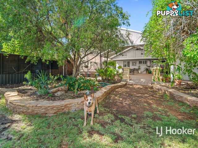 172 Kurrajong Drive EAST SIDE NT 0870