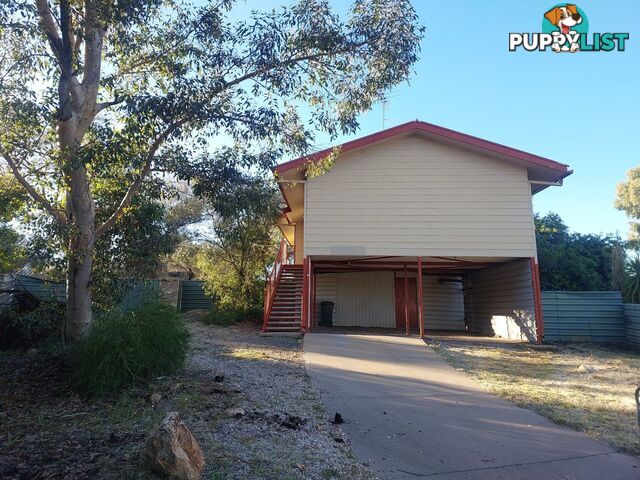 11 Willoby Court LARAPINTA NT 0870