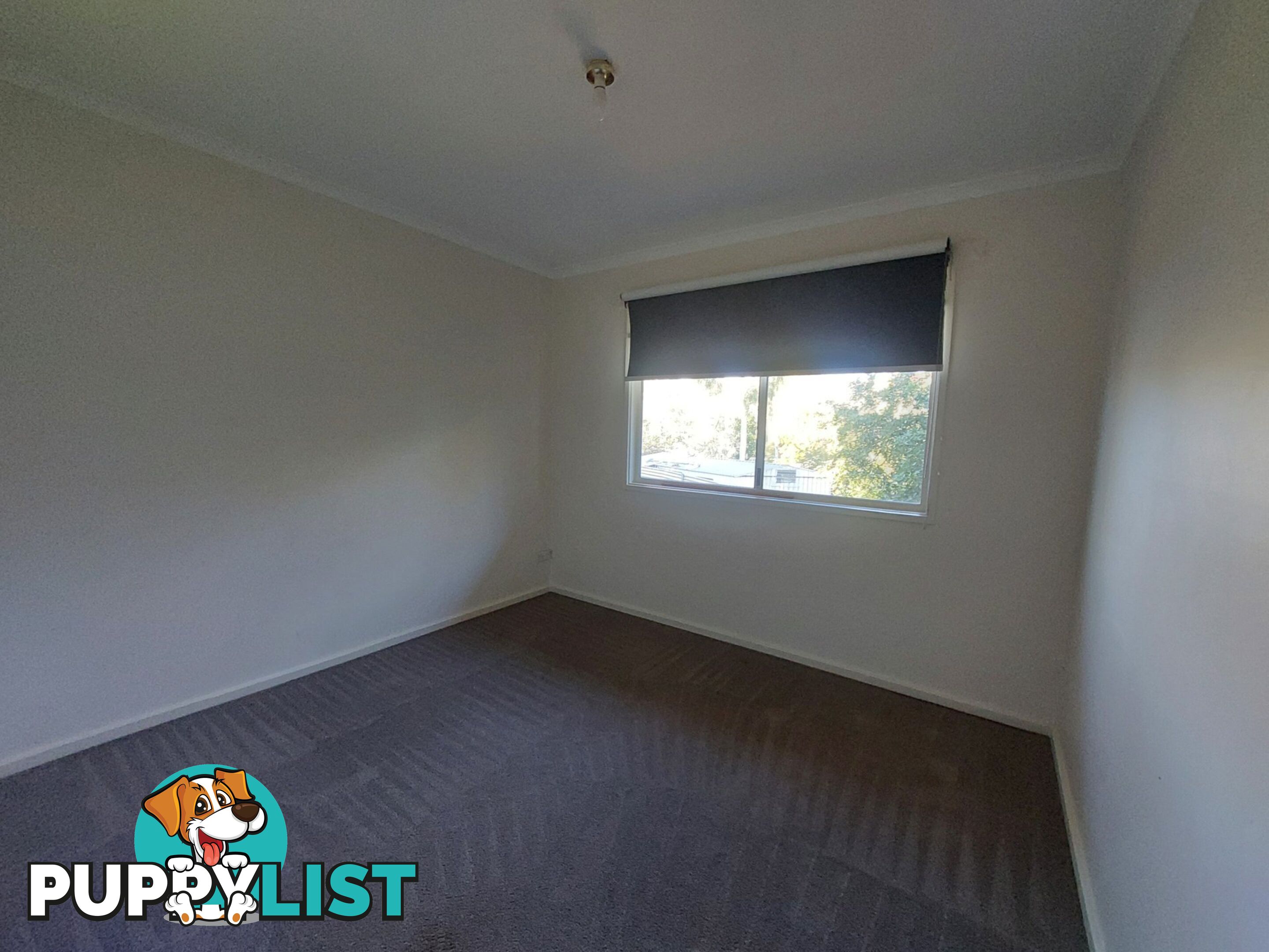 11 Willoby Court LARAPINTA NT 0870