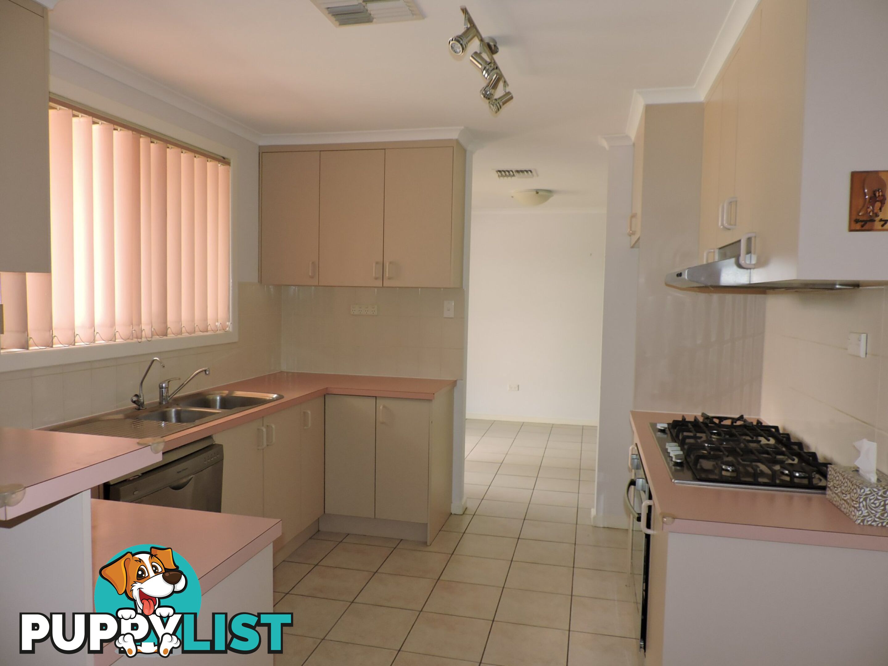 45 Taylor Street ARALUEN NT 0870