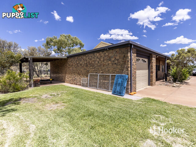 5 Zeil Street ARALUEN NT 0870