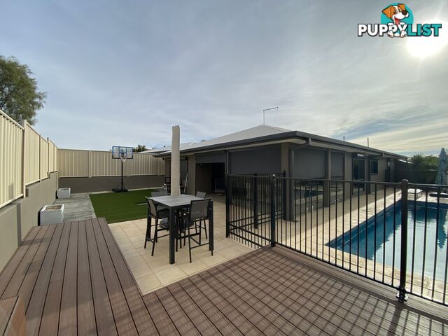 17 Mparntwe Drive LARAPINTA NT 0875